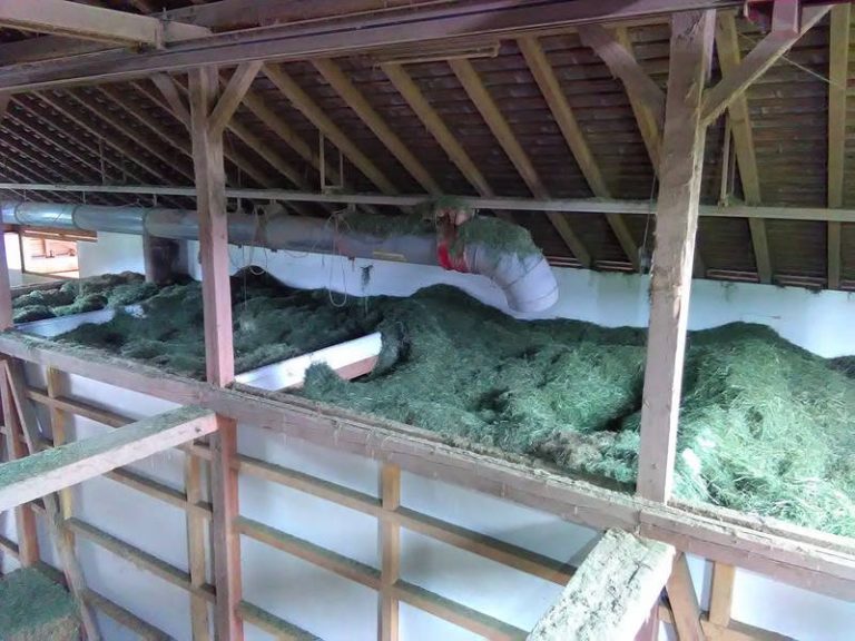 Hay Drying Plant - Dry Efficiently With Solar