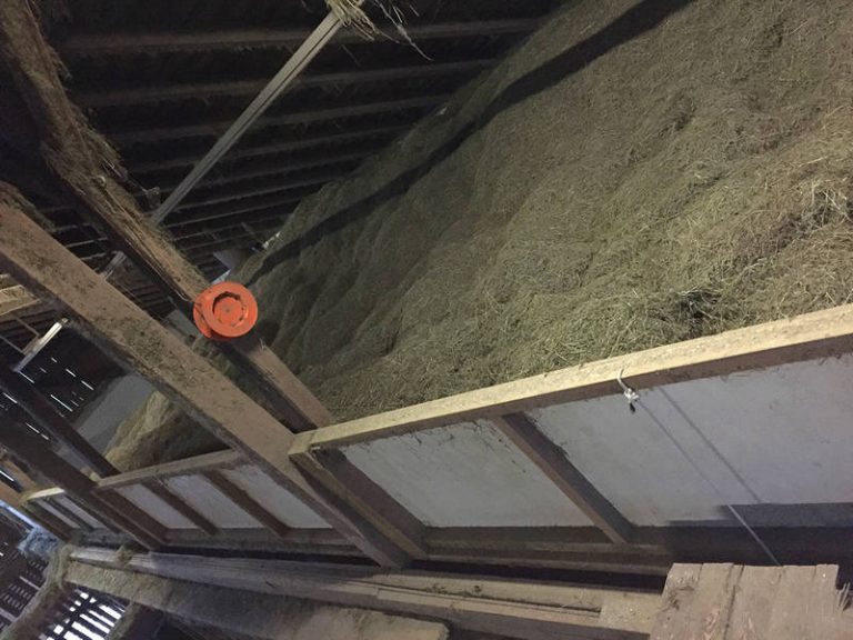 Hay Drying Plant Dry Efficiently With Solar